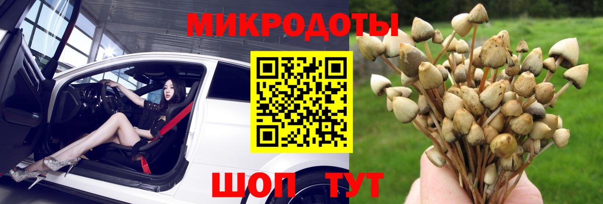 Псилоцибиновые грибы Psilocybe Сергиев Посад